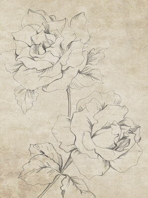 Image Not Available